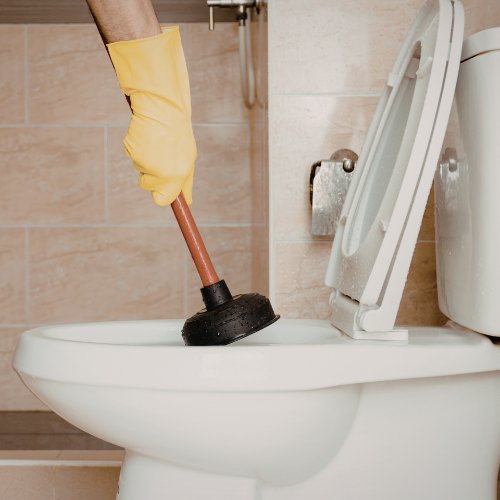 Toilet Repair